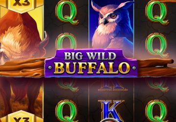 Автомат Big Wild Buffalo в Cloud Casino
